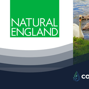 Natural England
